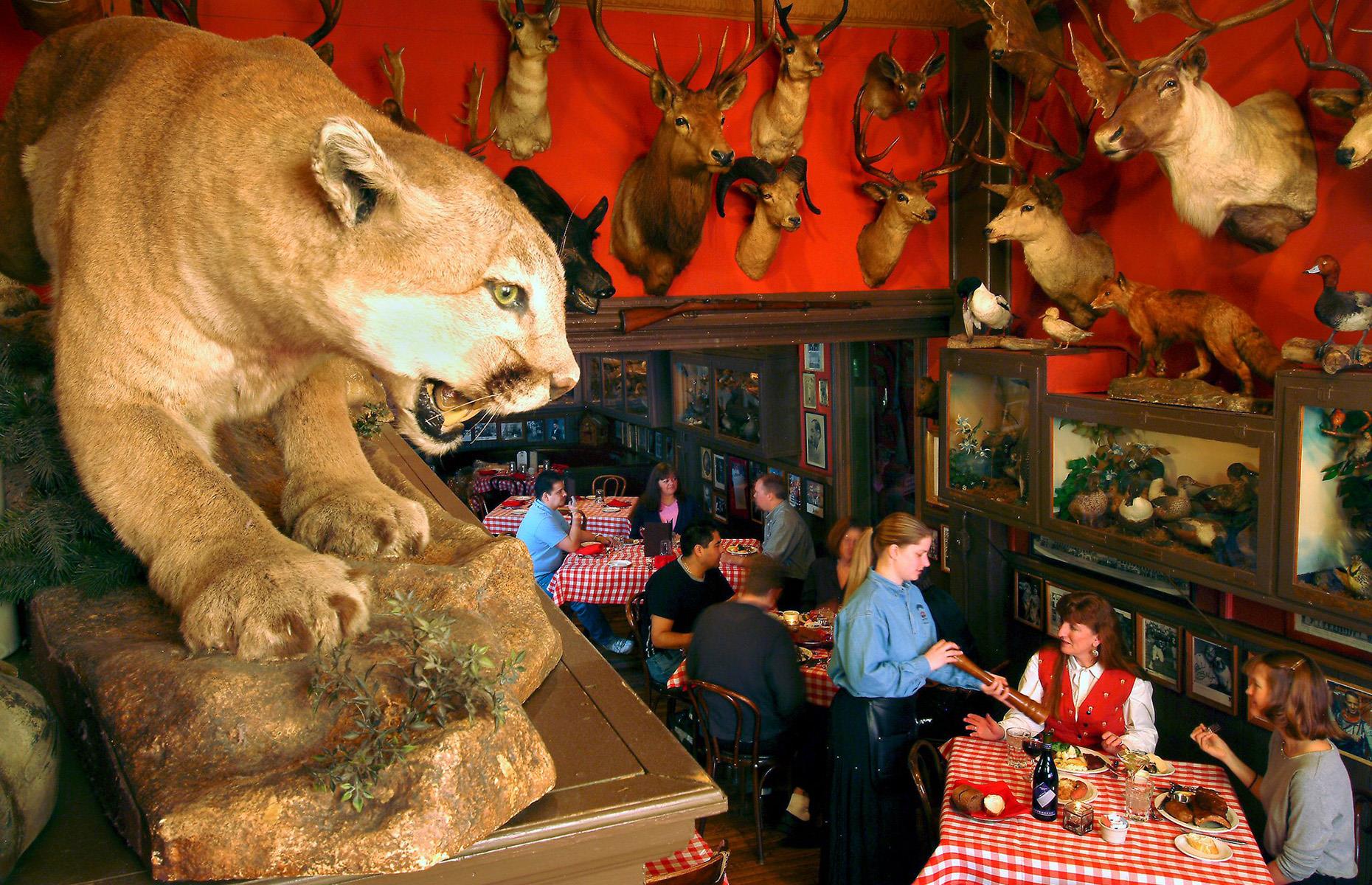 37. Colorado: Buckhorn Exchange Restaurant, Denver