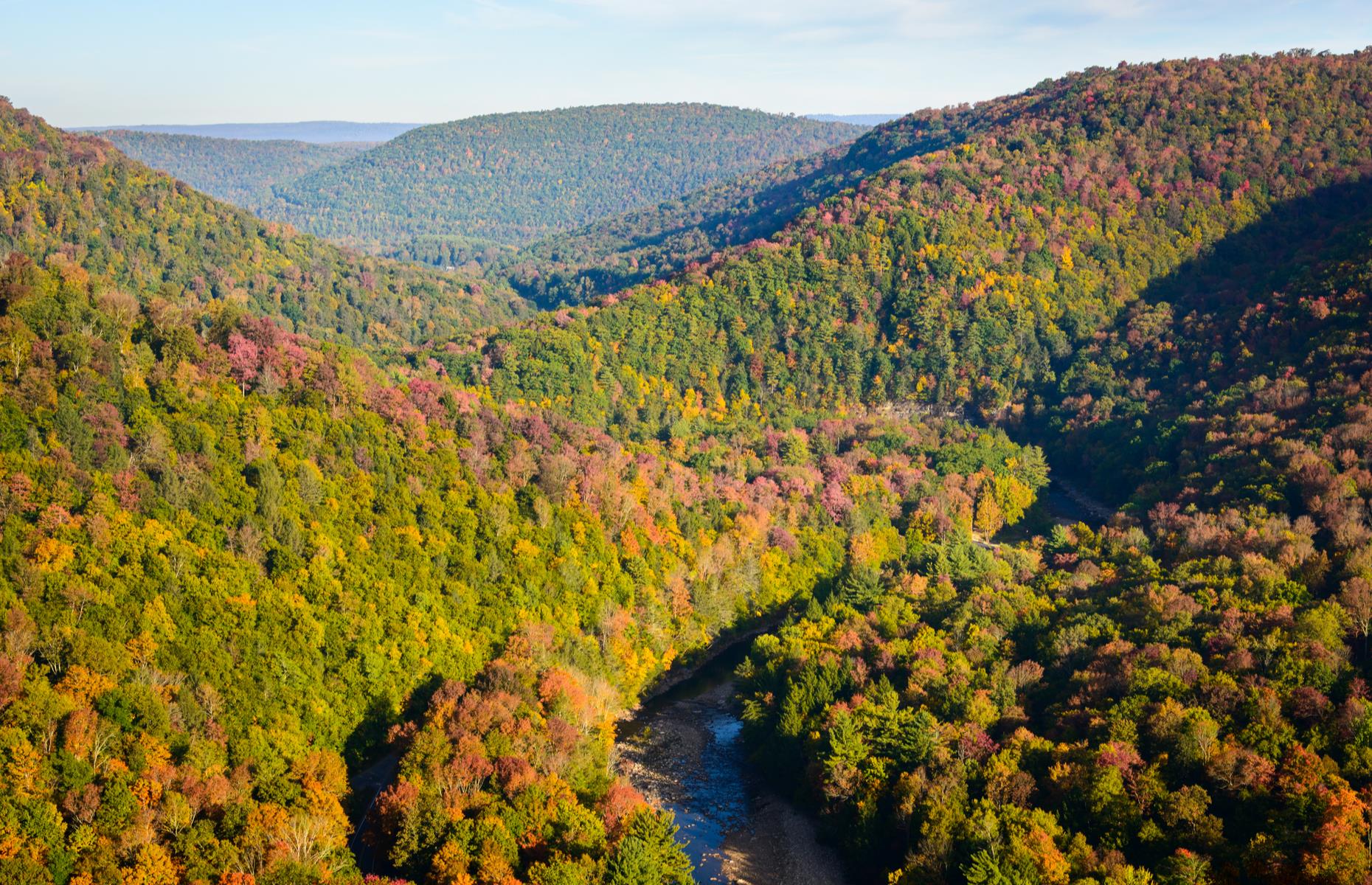 Susquehannock State Forest, Pennsylvania 