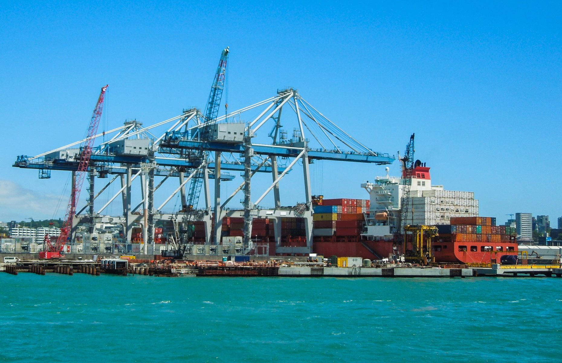 What does New Zealand import from China?