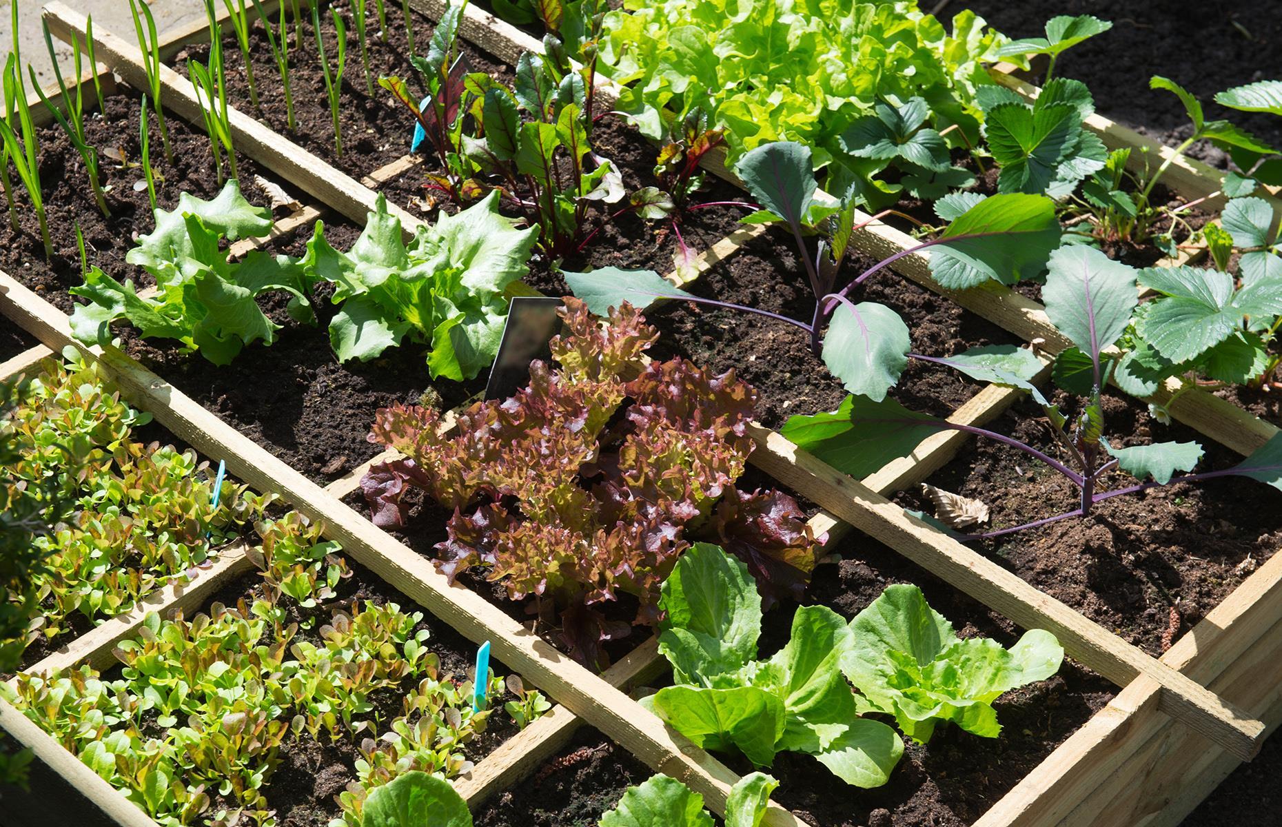 Use the square foot method