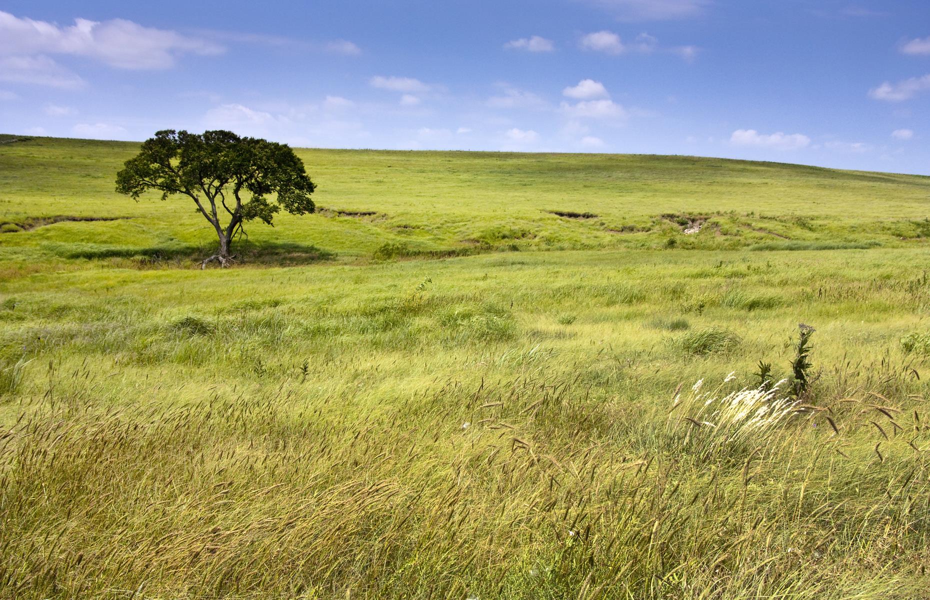 Tallgrass Prairie National Preserve, Kansas