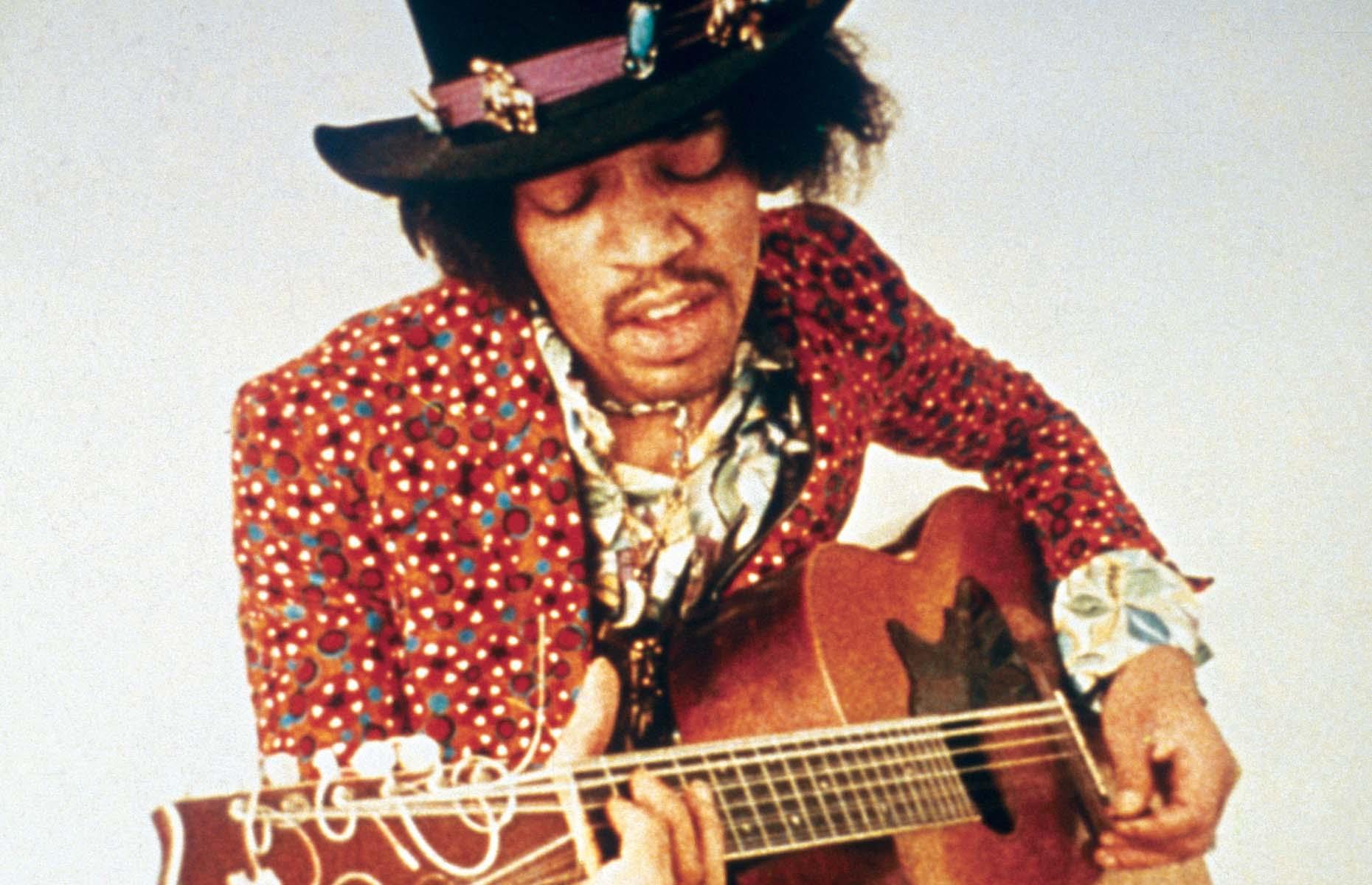 Jimi Hendrix succulent