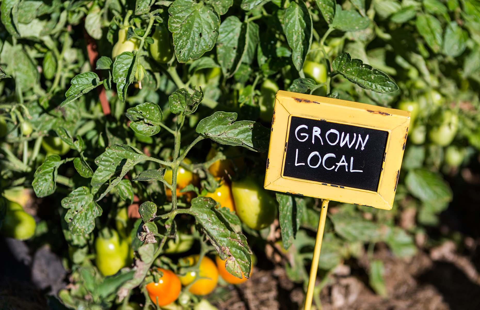 Sustainable brands