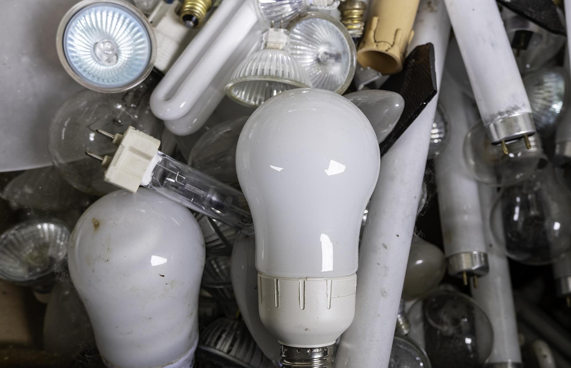 What you can take to the tip: lightbulbs