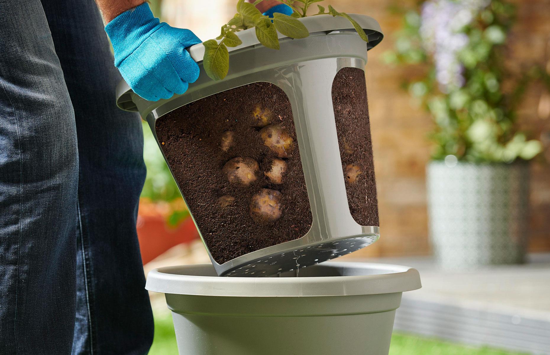 Craft potato growing pots