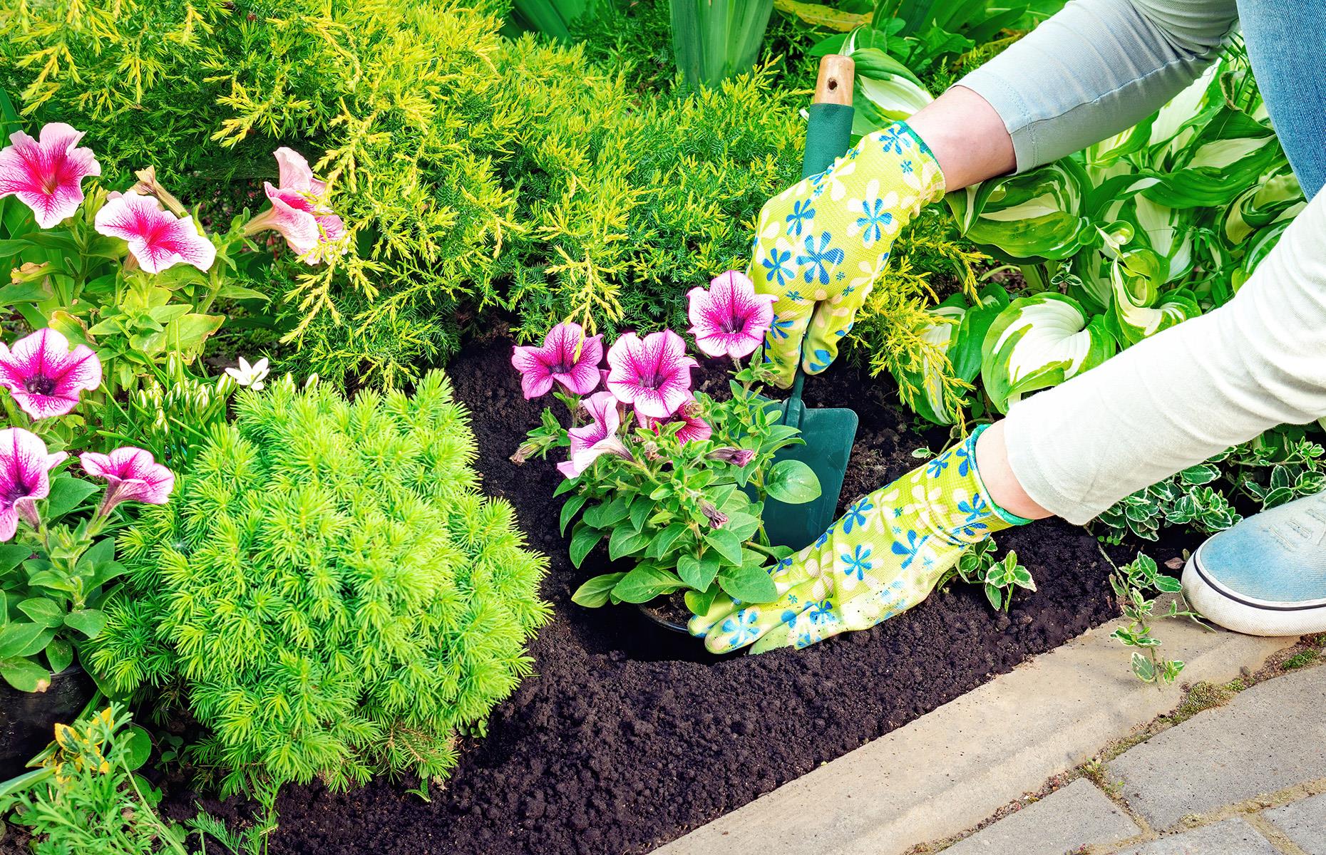 Planting in the wrong places