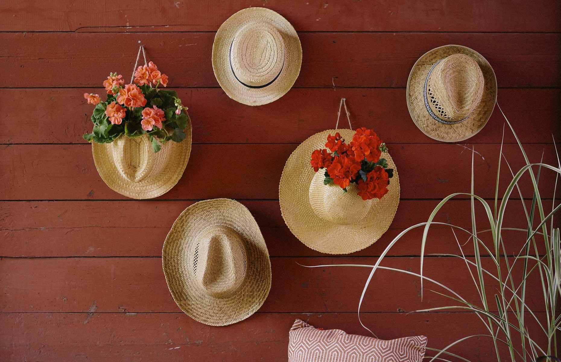 Hang hat planters
