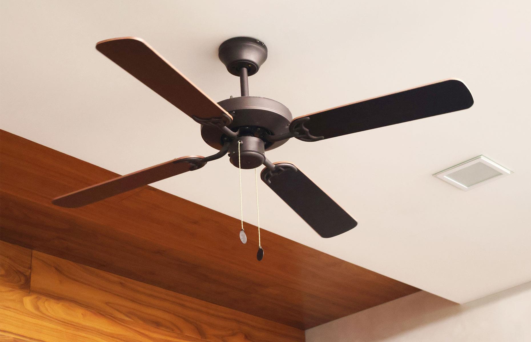 Ceiling fans