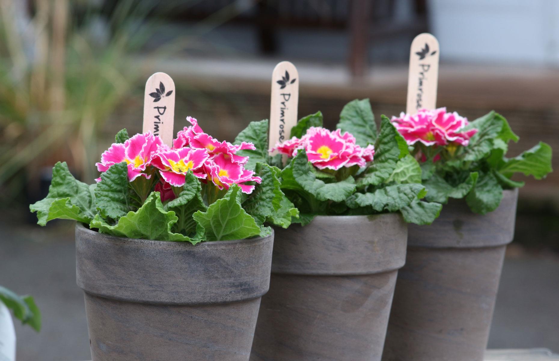 Use plant markers