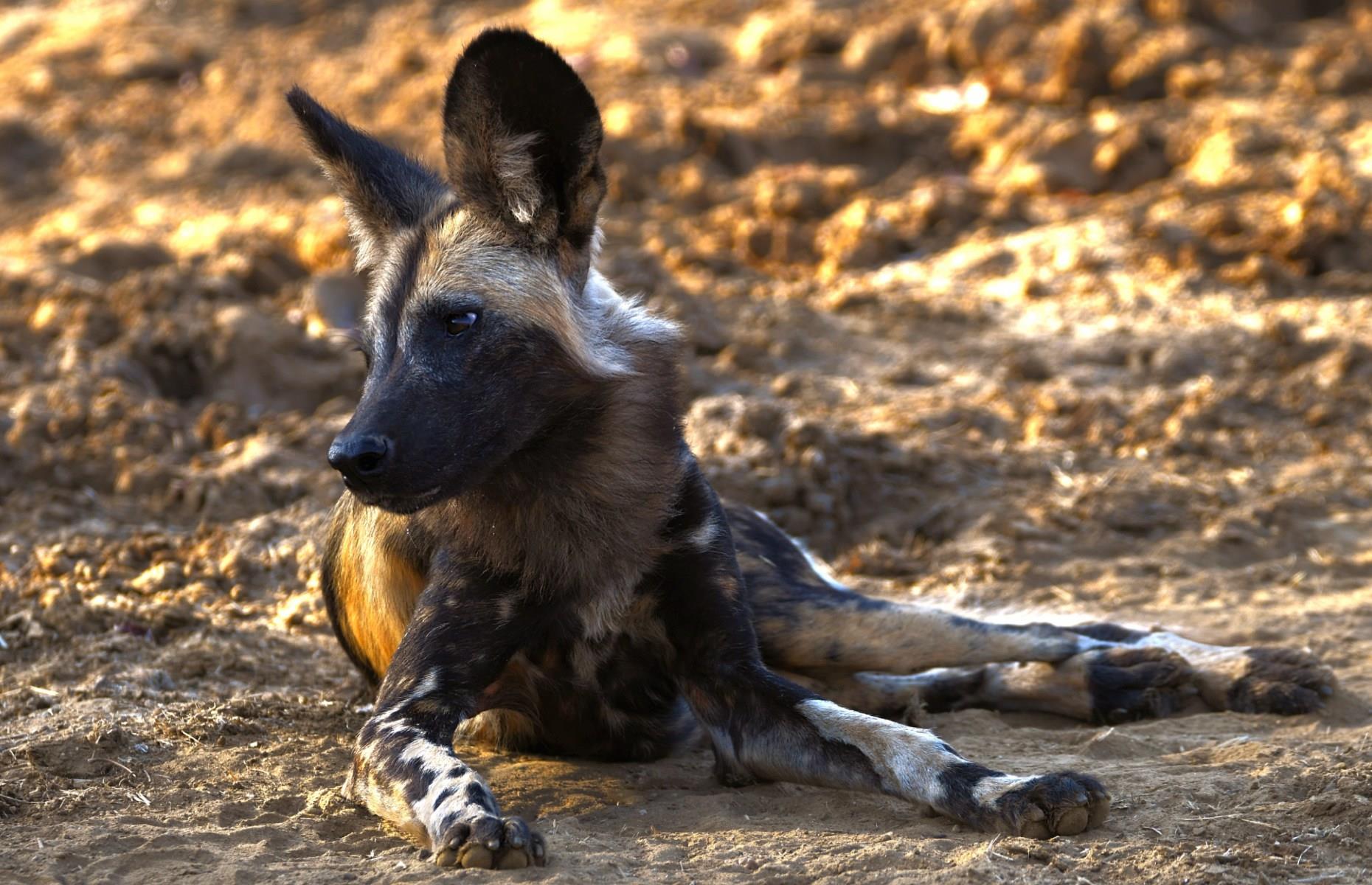 Lower Zambezi National Park, Zambia