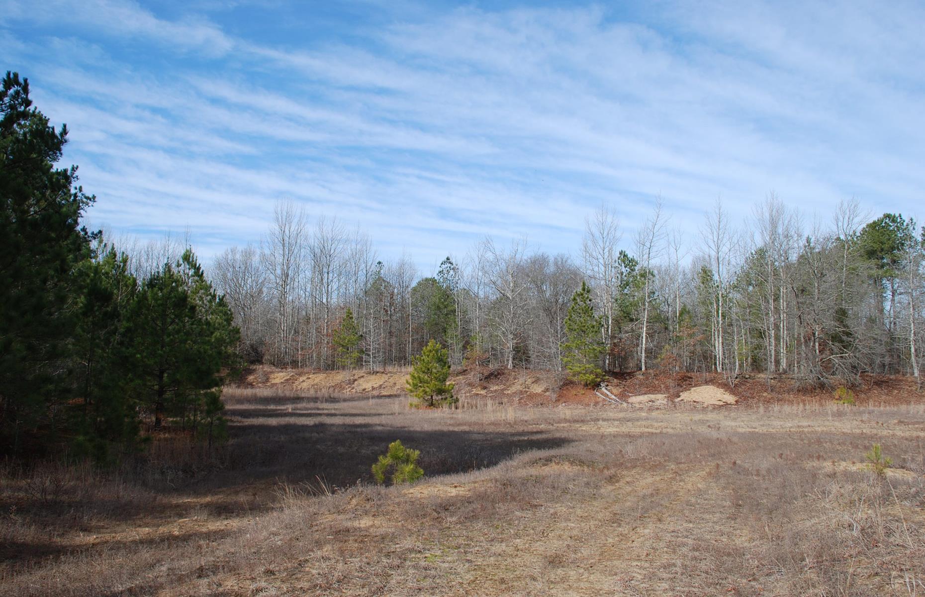 Cactus Hill Archaeological Site, Virginia