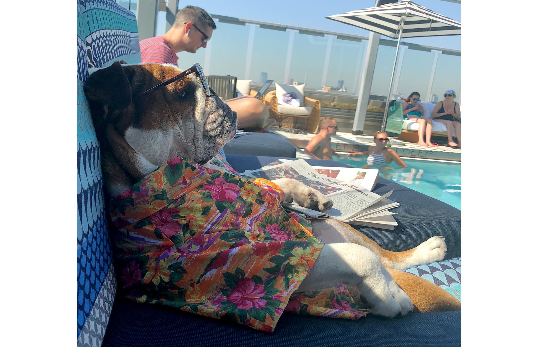 Mister Bentley