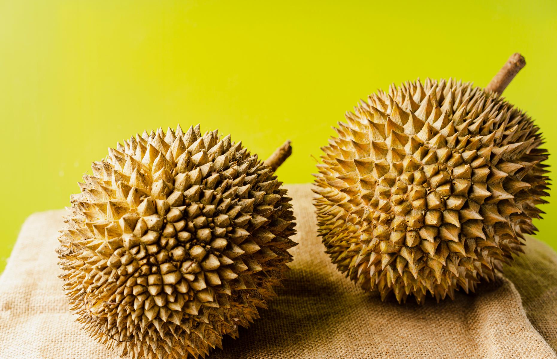 Durian fruit
