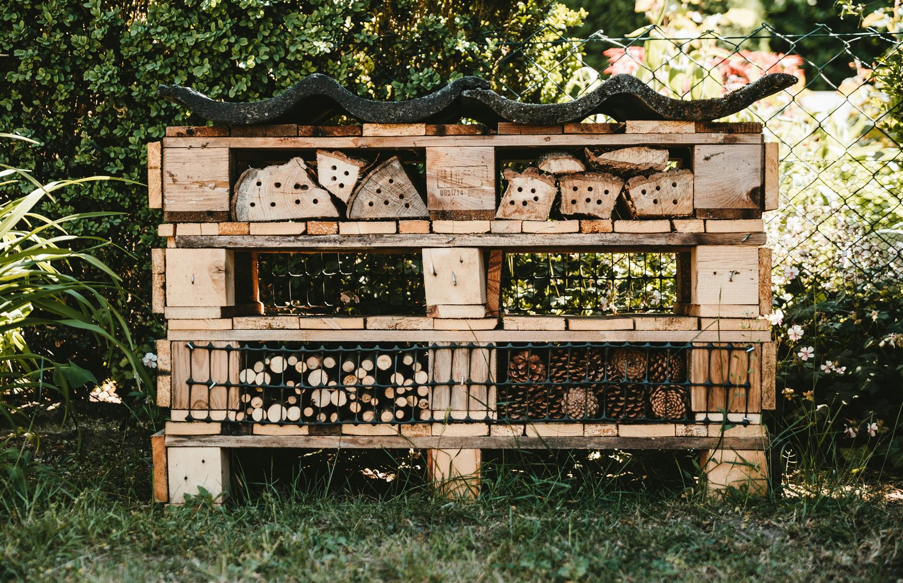 Create a bug hotel
