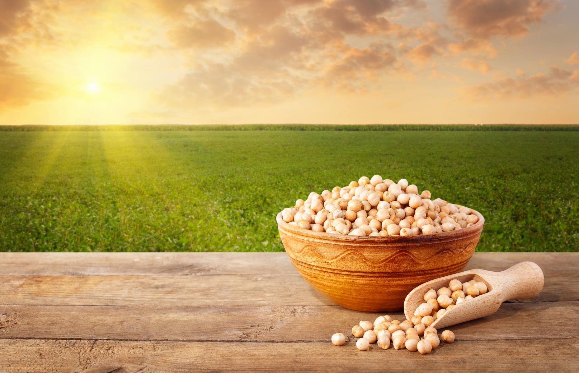 Hülsenfrüchte essen schont die Umwelt