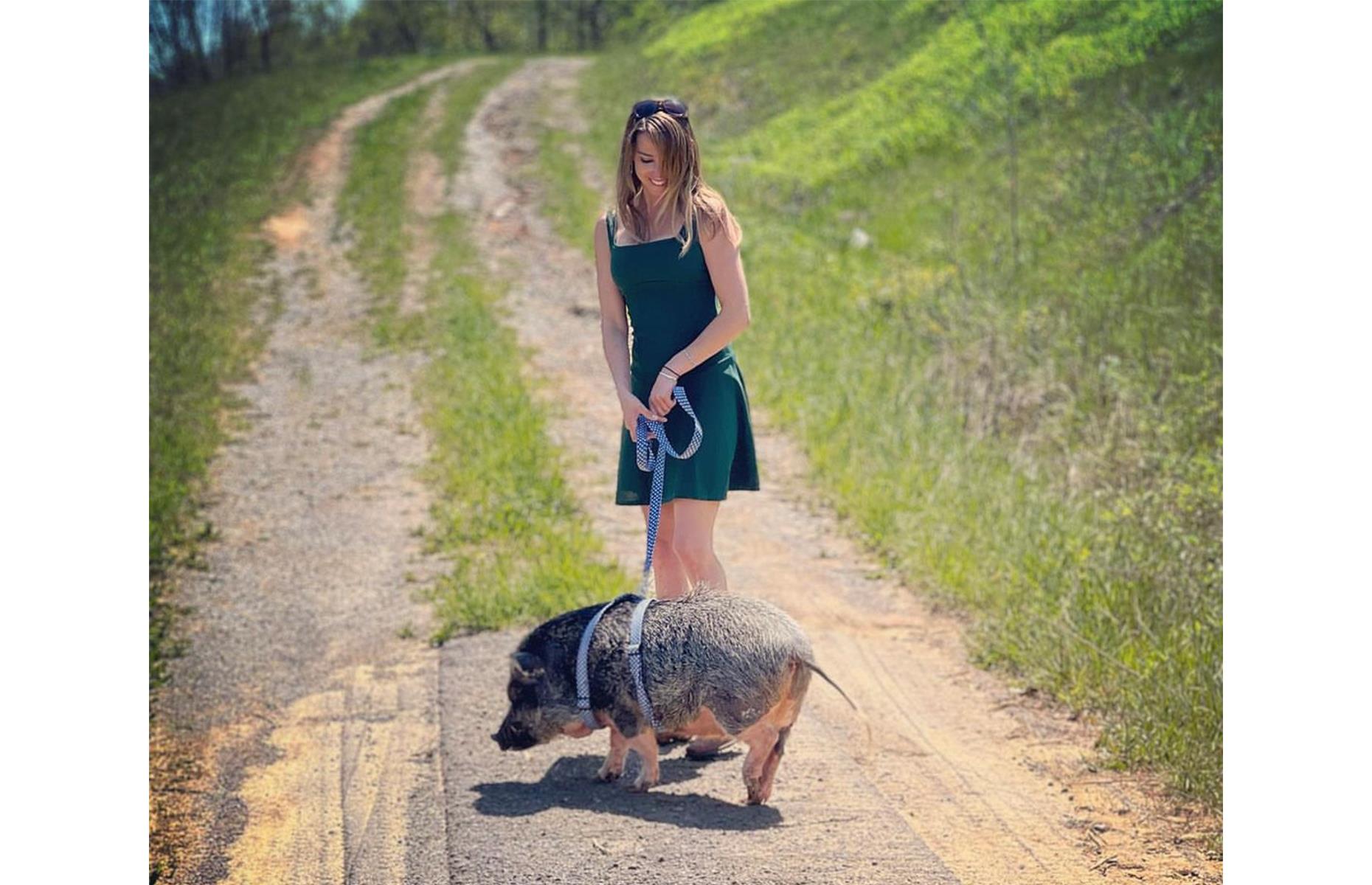 Hamlet the Beach Hog