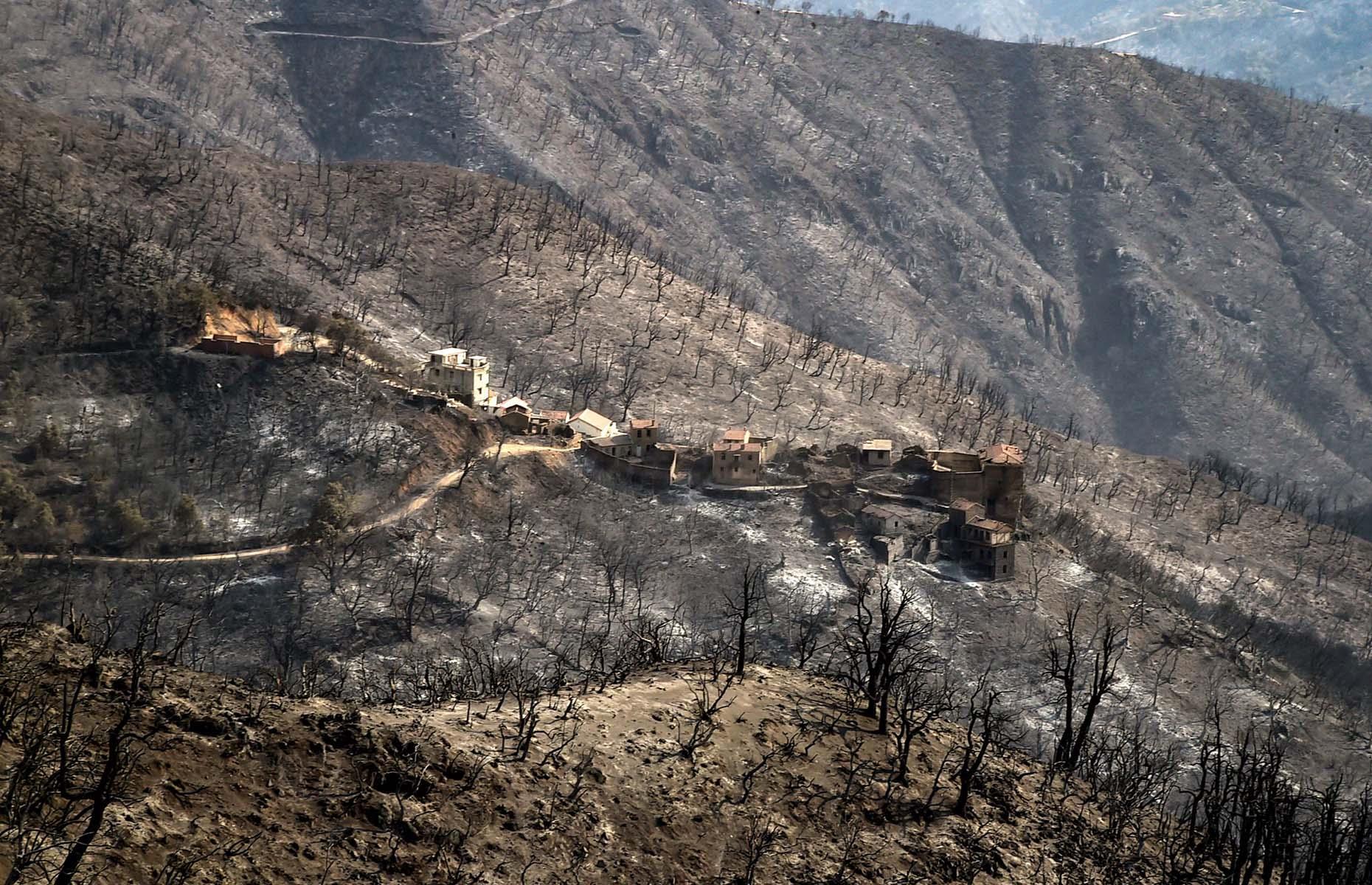 August: Wildfires, Algeria