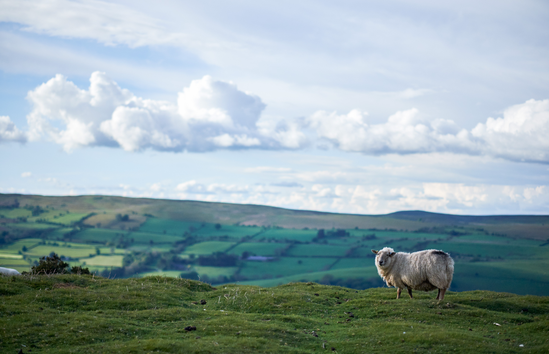 The stereotype: Wales is all sheep & countryside
