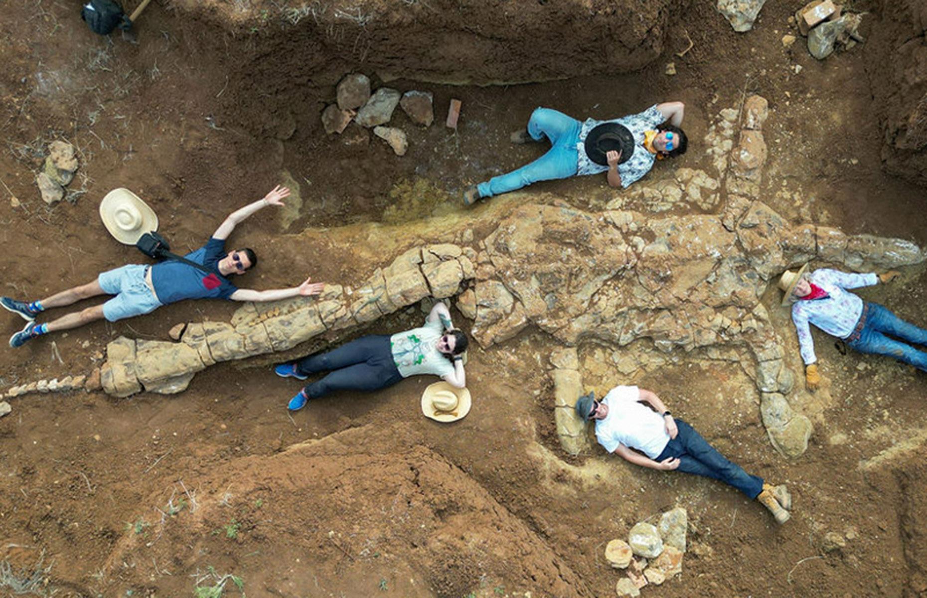 The 'Rosetta Stone of marine palaeontology' was discovered in Australia