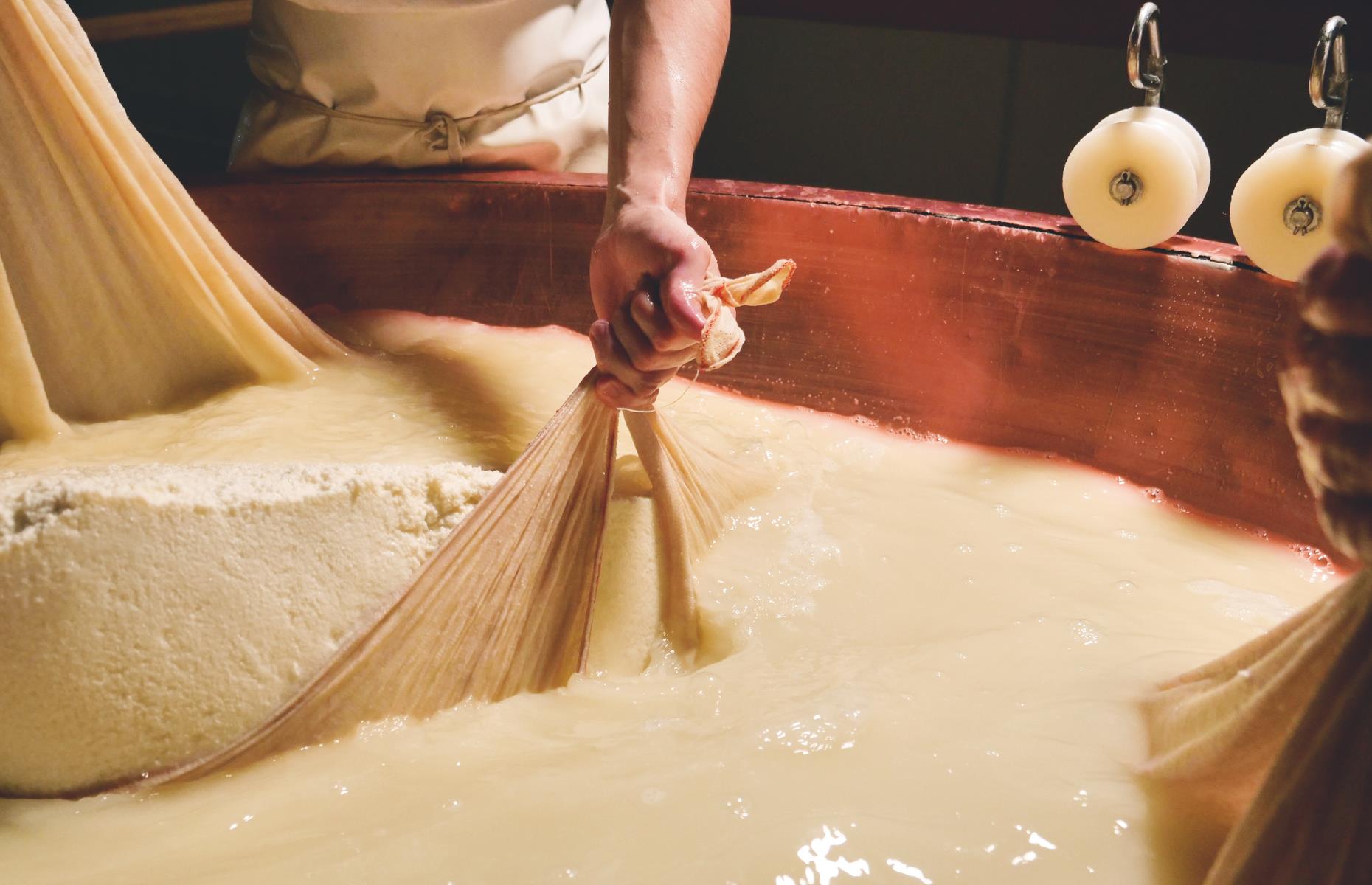 How cheese is made