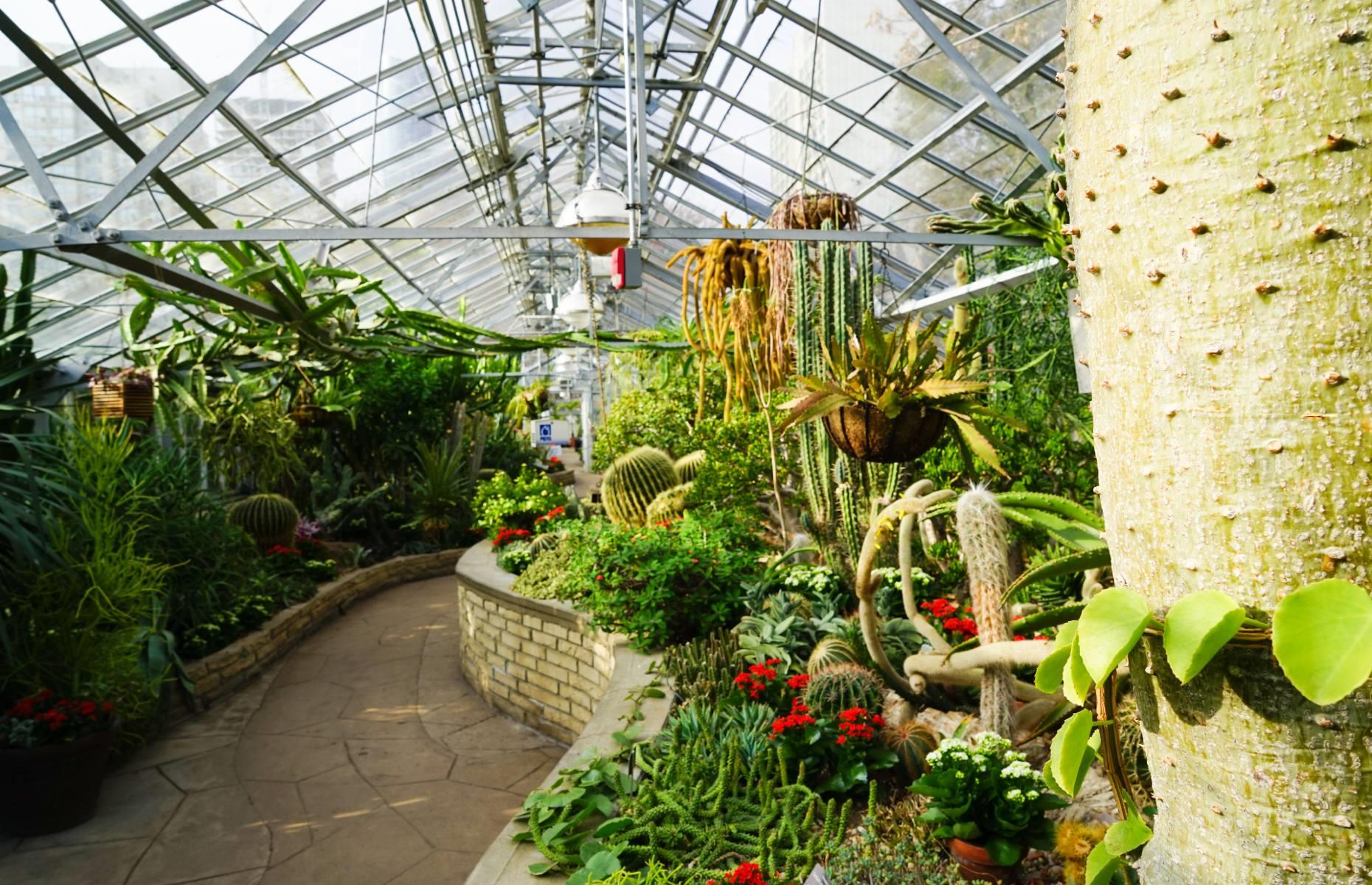Allan Gardens, Toronto, Ontario, Canada