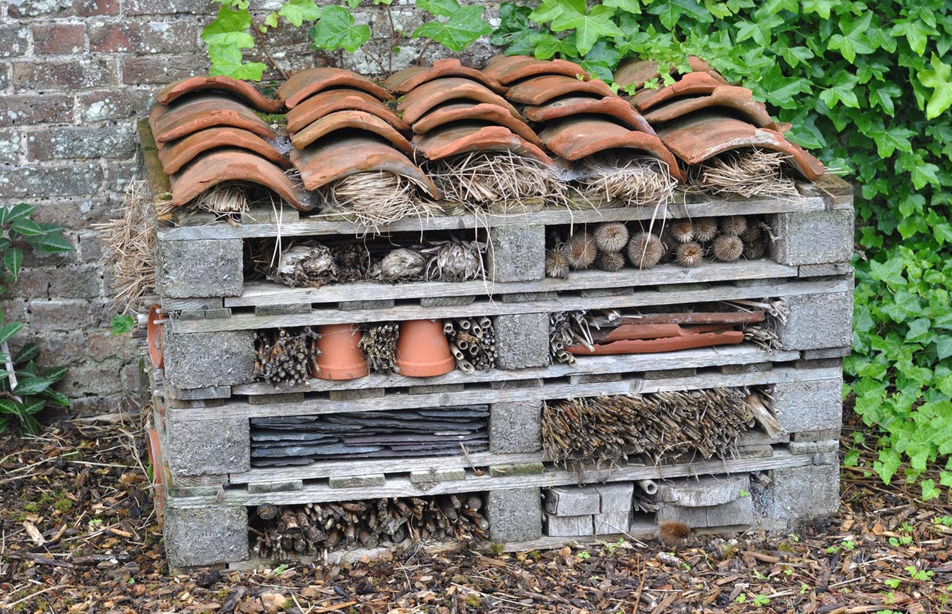 Build a bug hotel