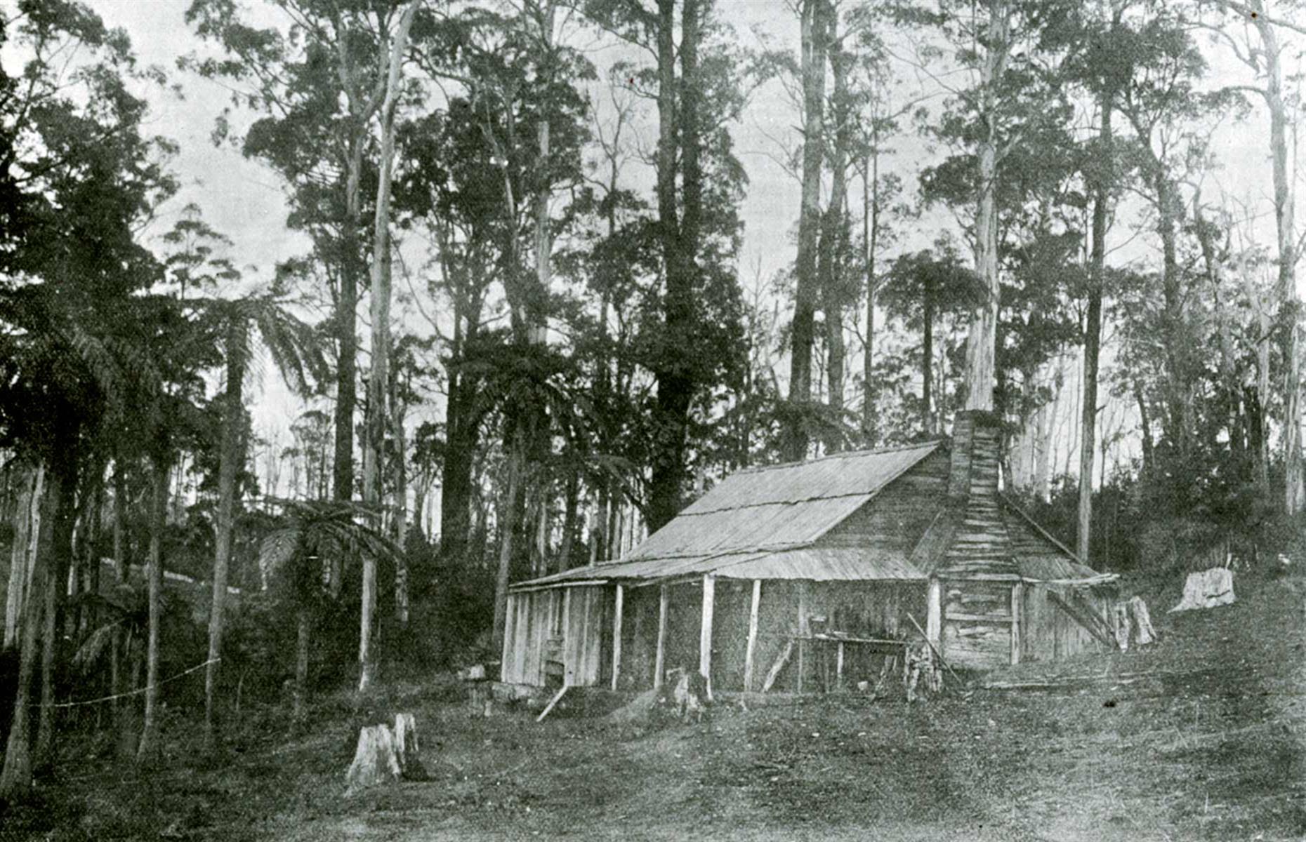 Homes in Federated Australia