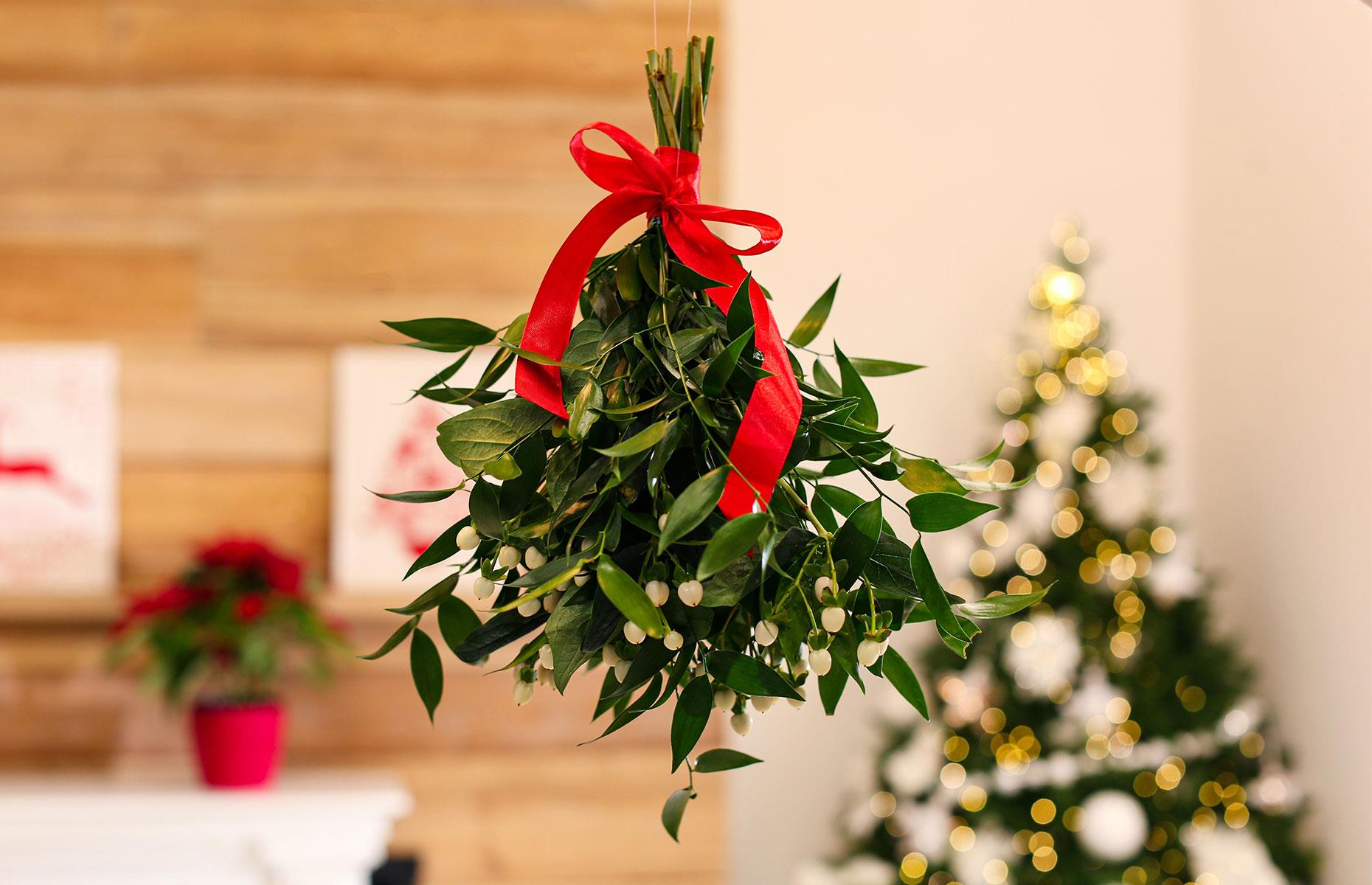 Inspírate con las comedias navideñas de Hollywood