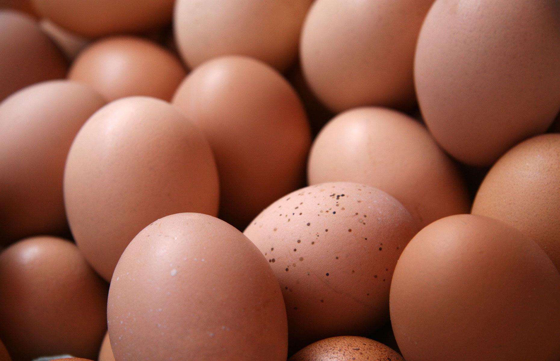 Eierpreise im internationalen Ranking