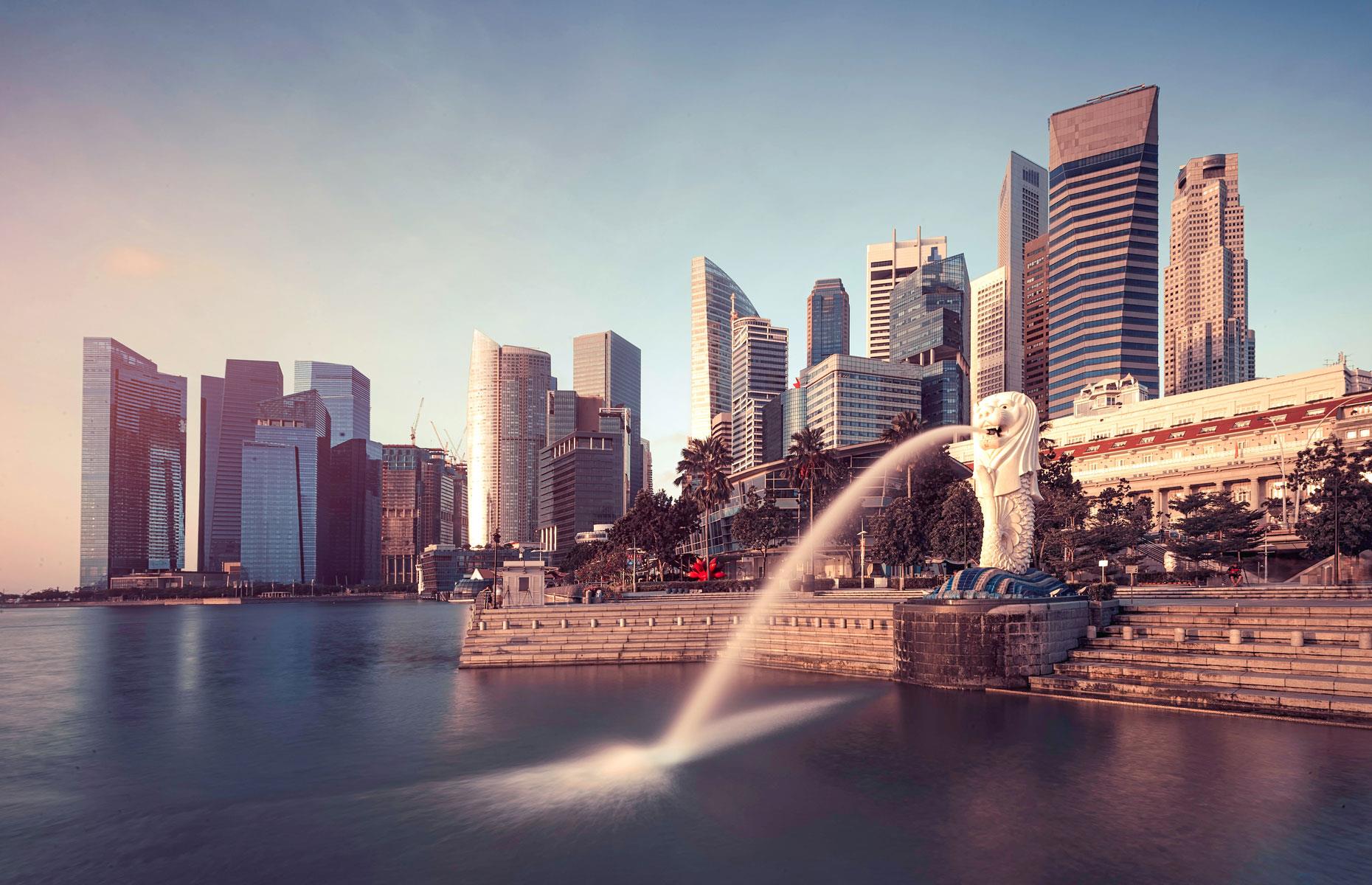 Singapore: 0.48% share