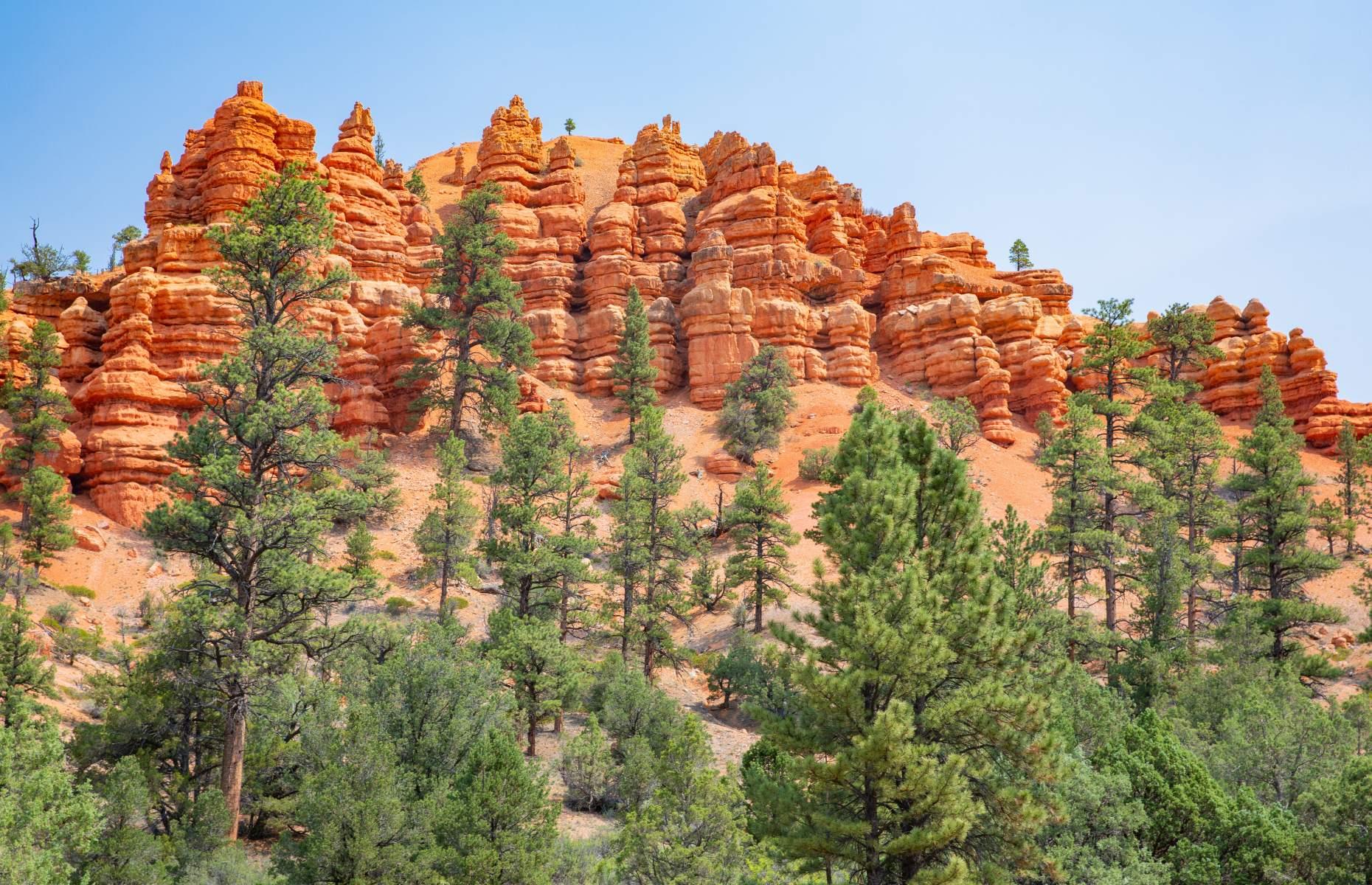 6. Dixie National Forest, Utah