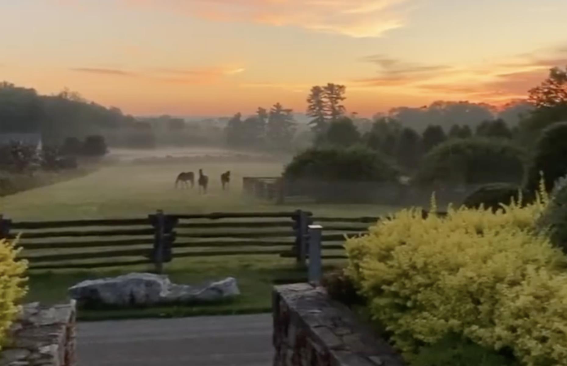 Martha Stewart's idyllic Bedford farm, New York, USA