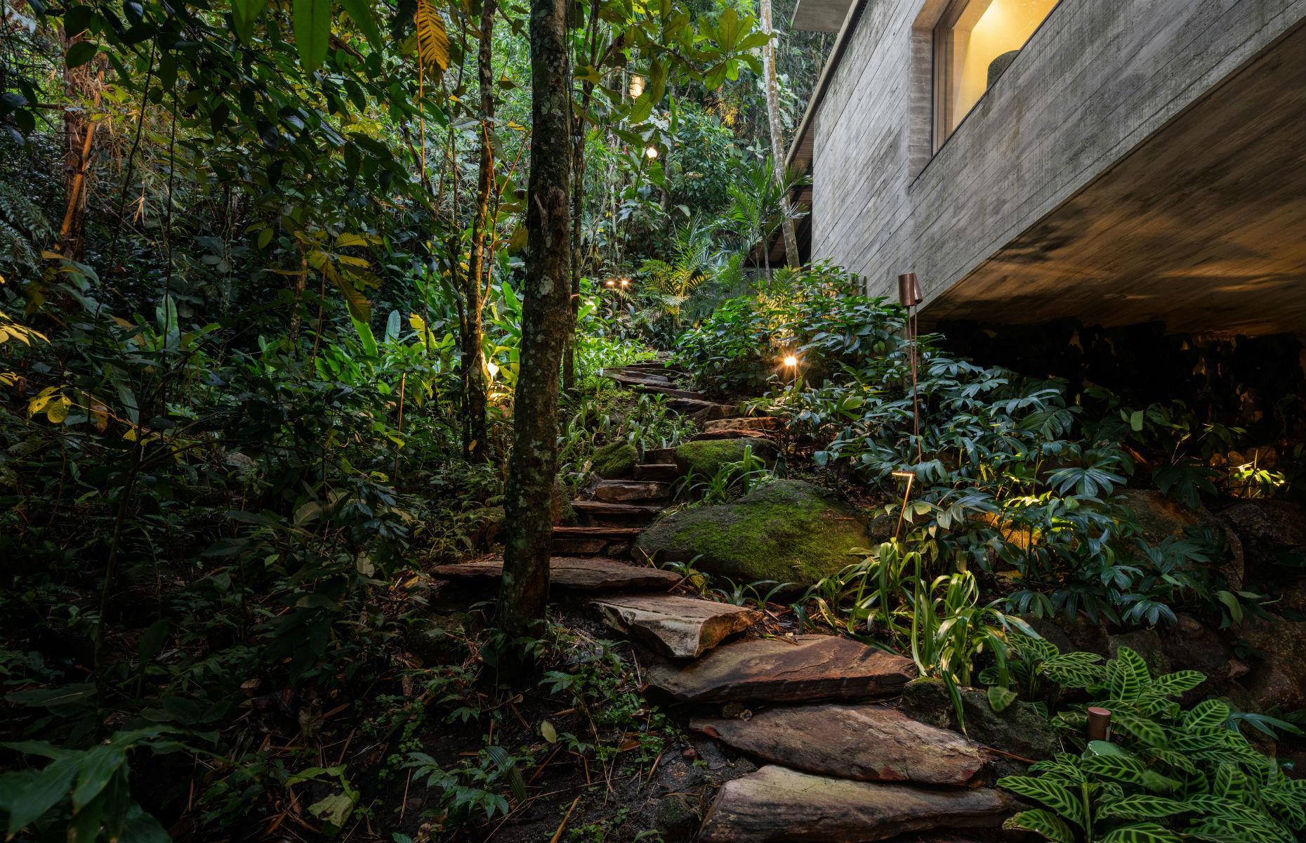 Jungle House, Paulista, Brazil