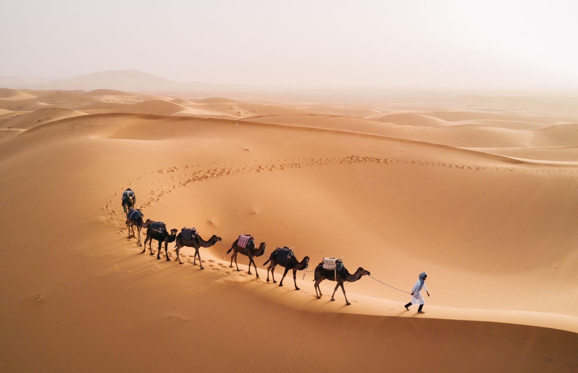 Last of the nomads
