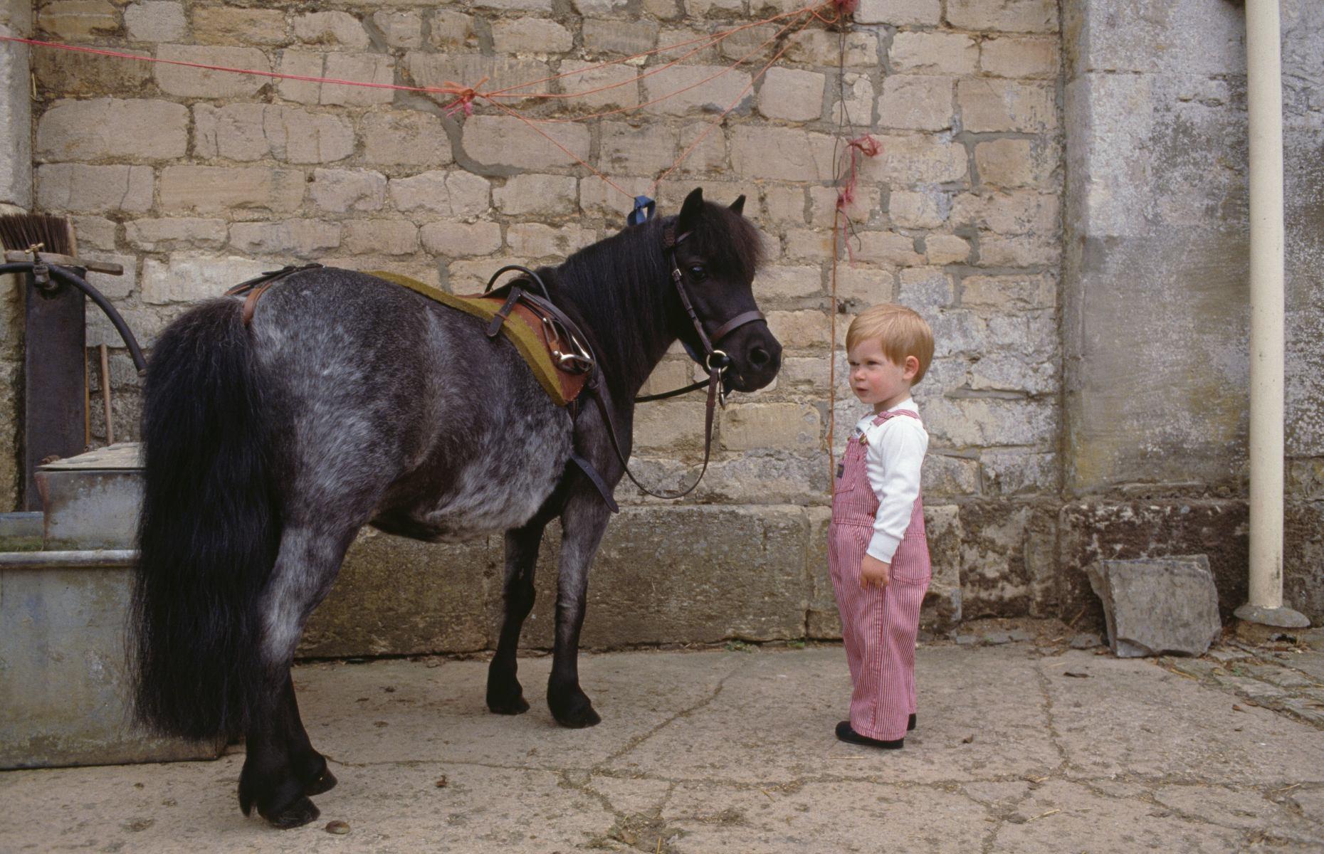 Prince Harry’s first time on a pony