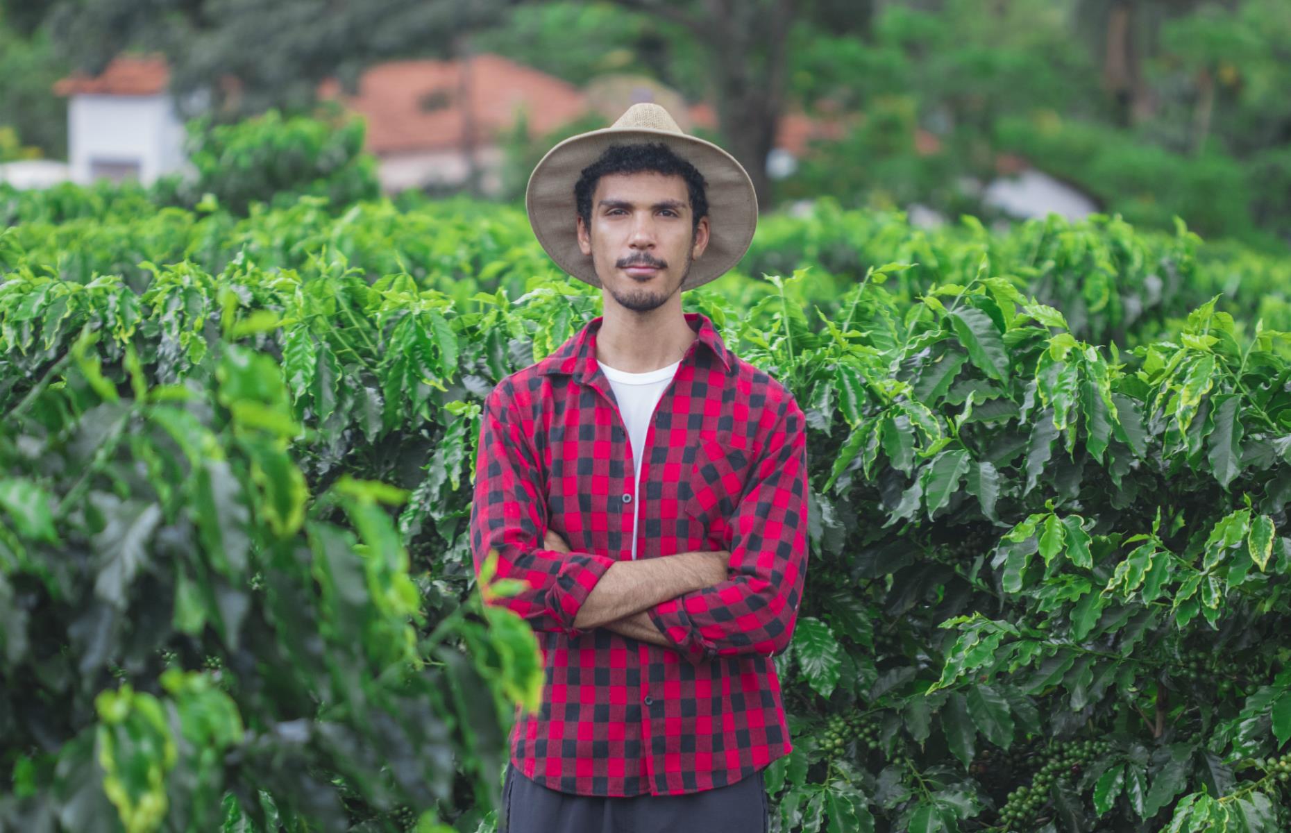 A lot of farmers depend on coffee