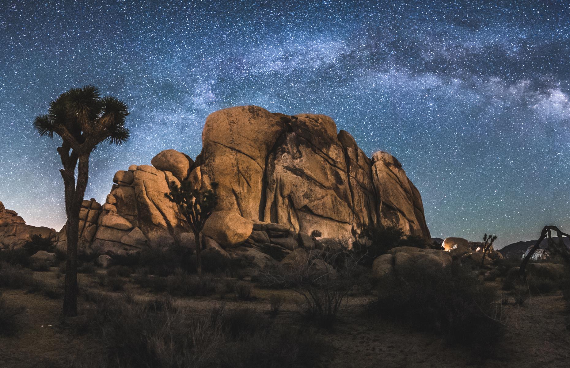 Joshua Tree, California, USA