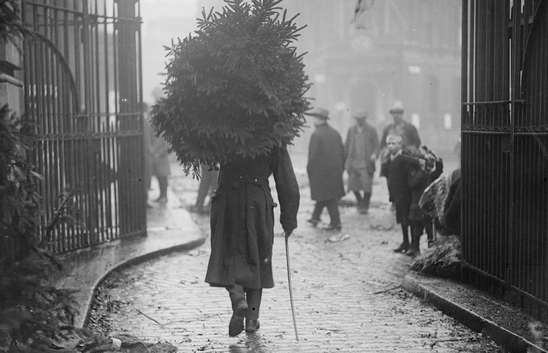 1910s: a solitary soldier collects his tree