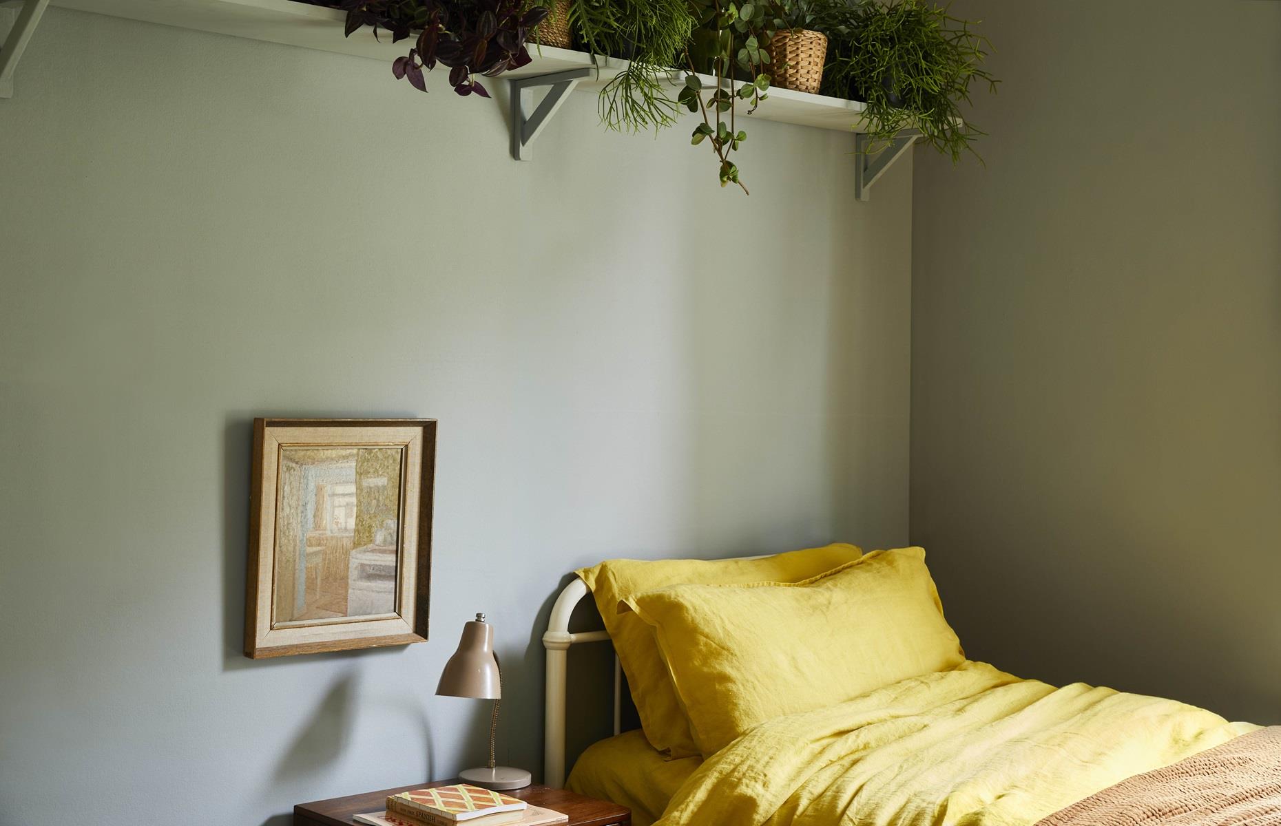 Coat walls in clay-based paint