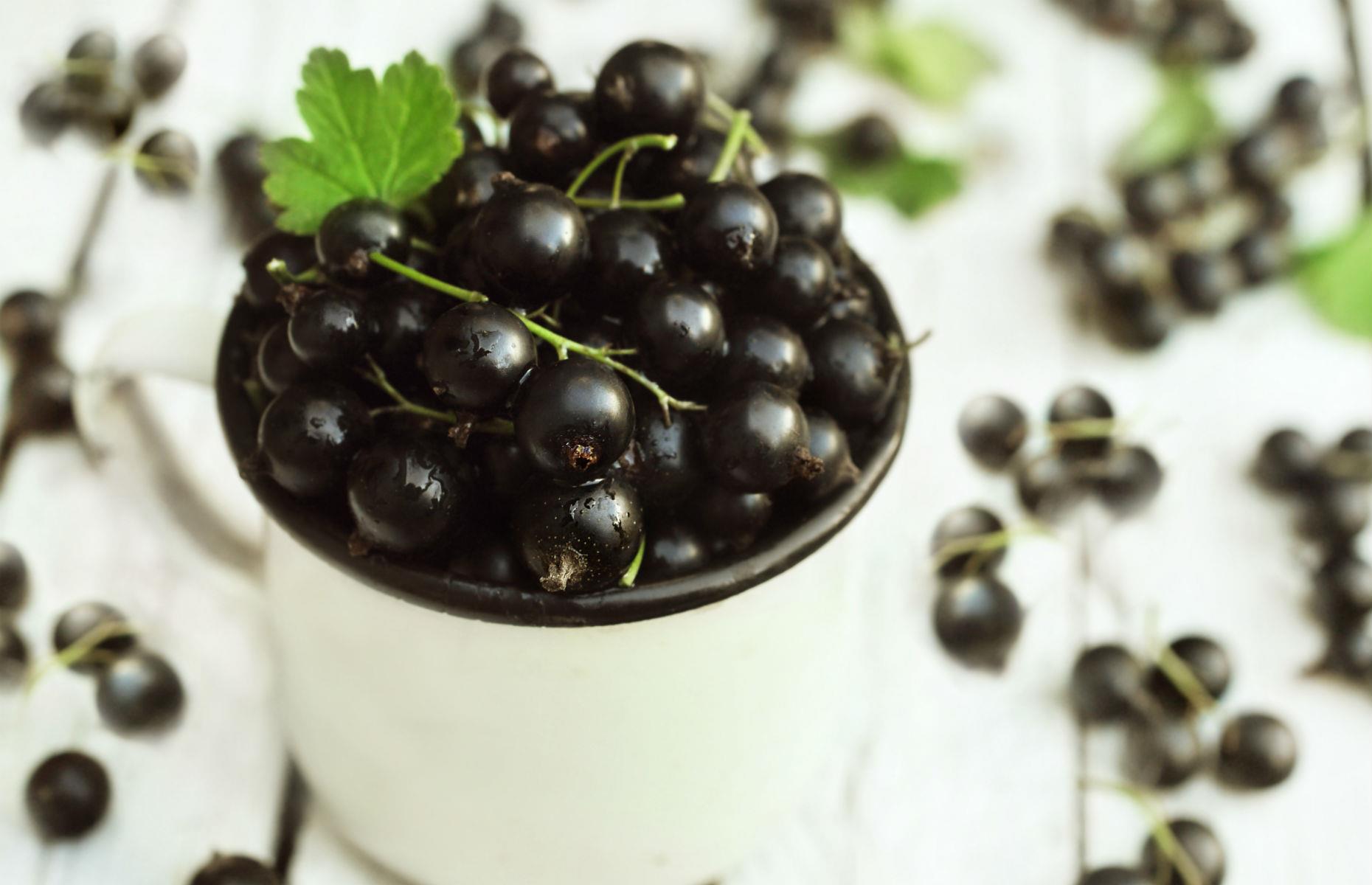 Blackcurrants