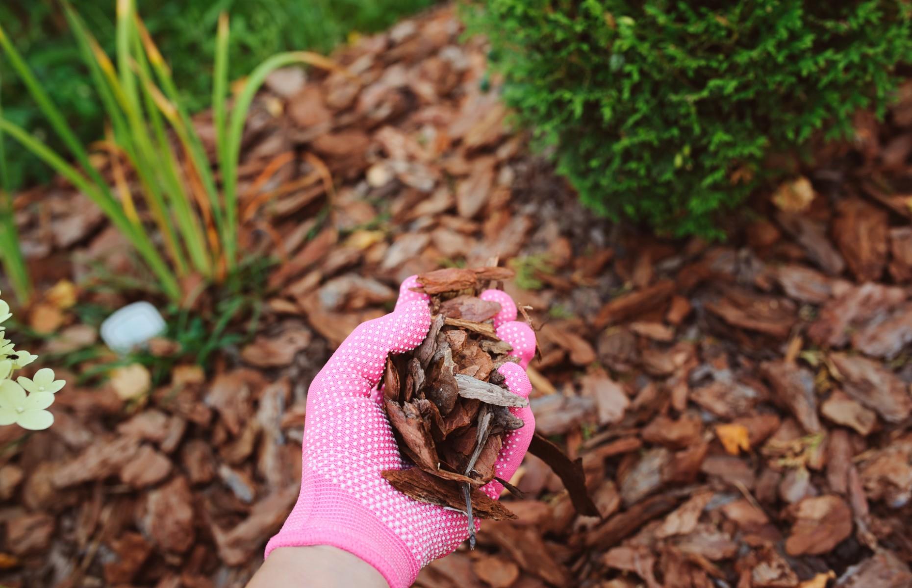 Using too much mulch