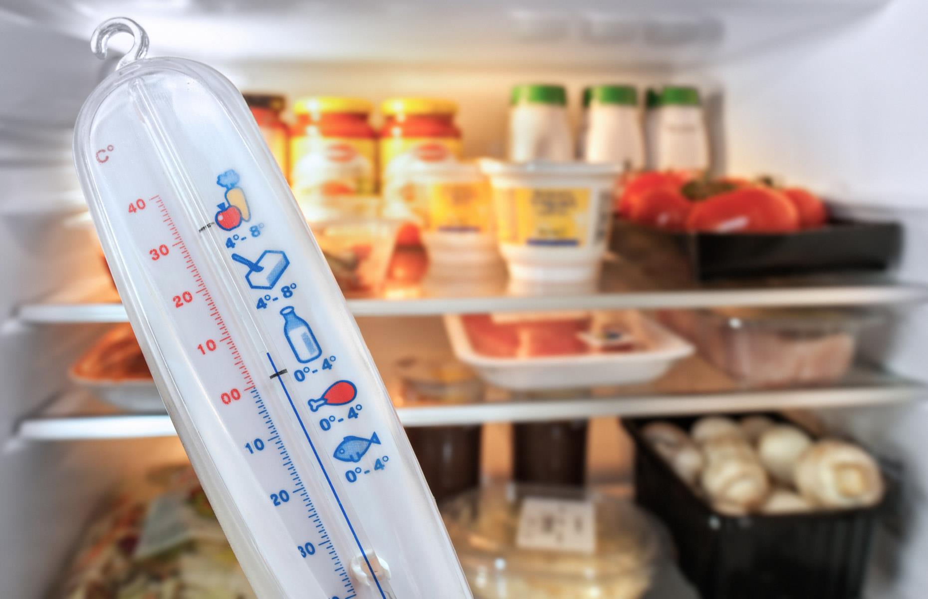 Какая лучше температура в холодильнике. Термометр для холодильника. Холодильник с продуктами. Термометр хранения продуктов. Температура в холодильнике.