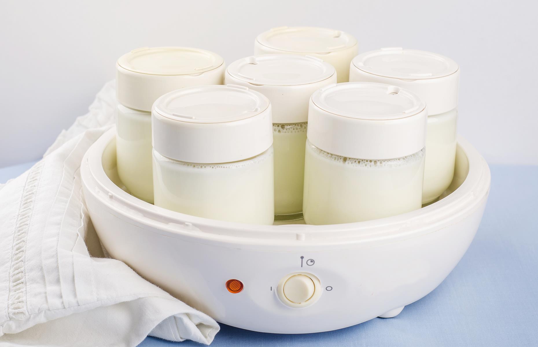 21. Yogurt maker