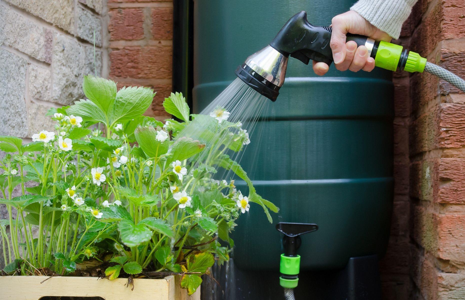 Recycle your rainwater