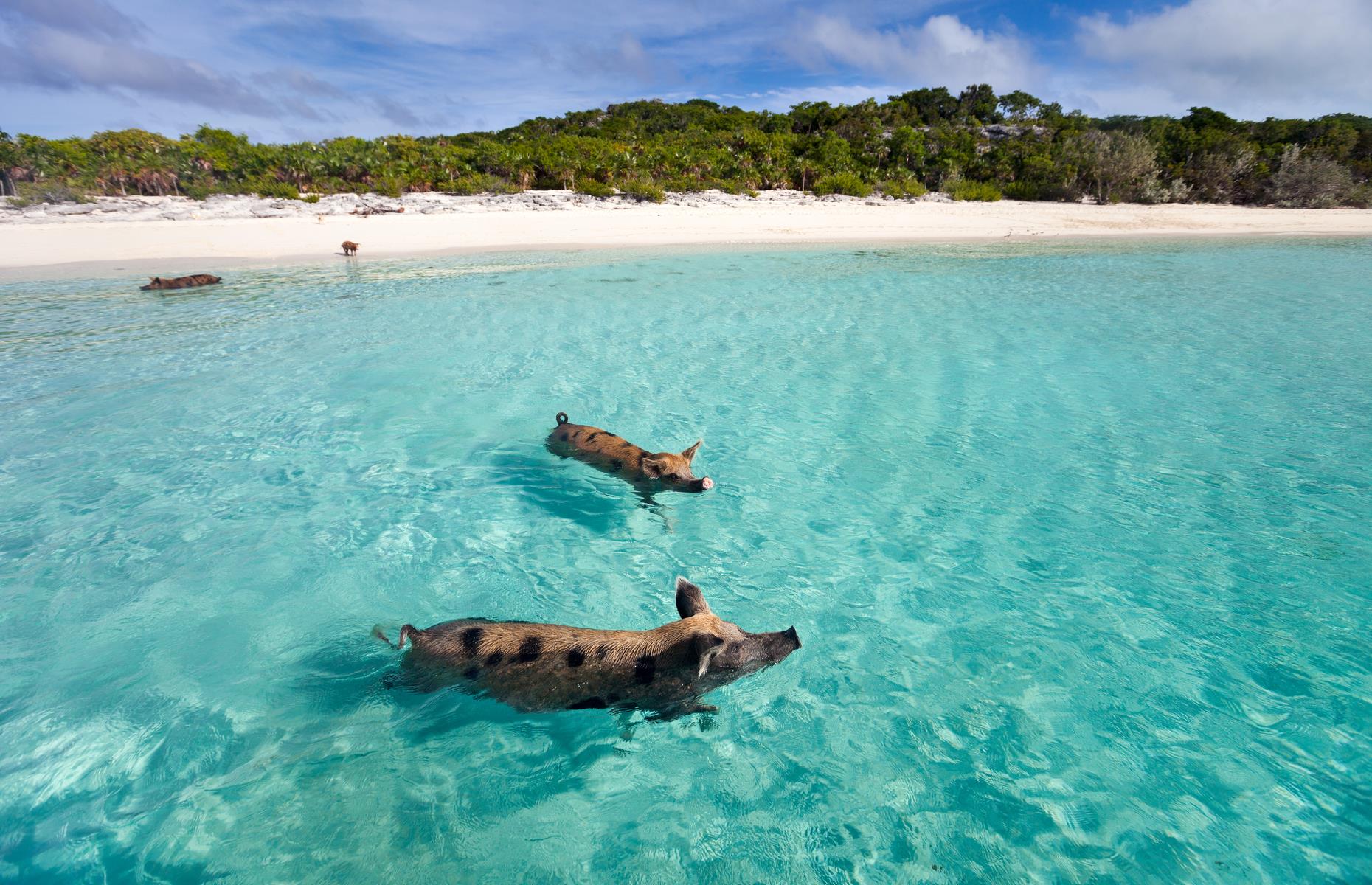 10. Nassau, Bahamas