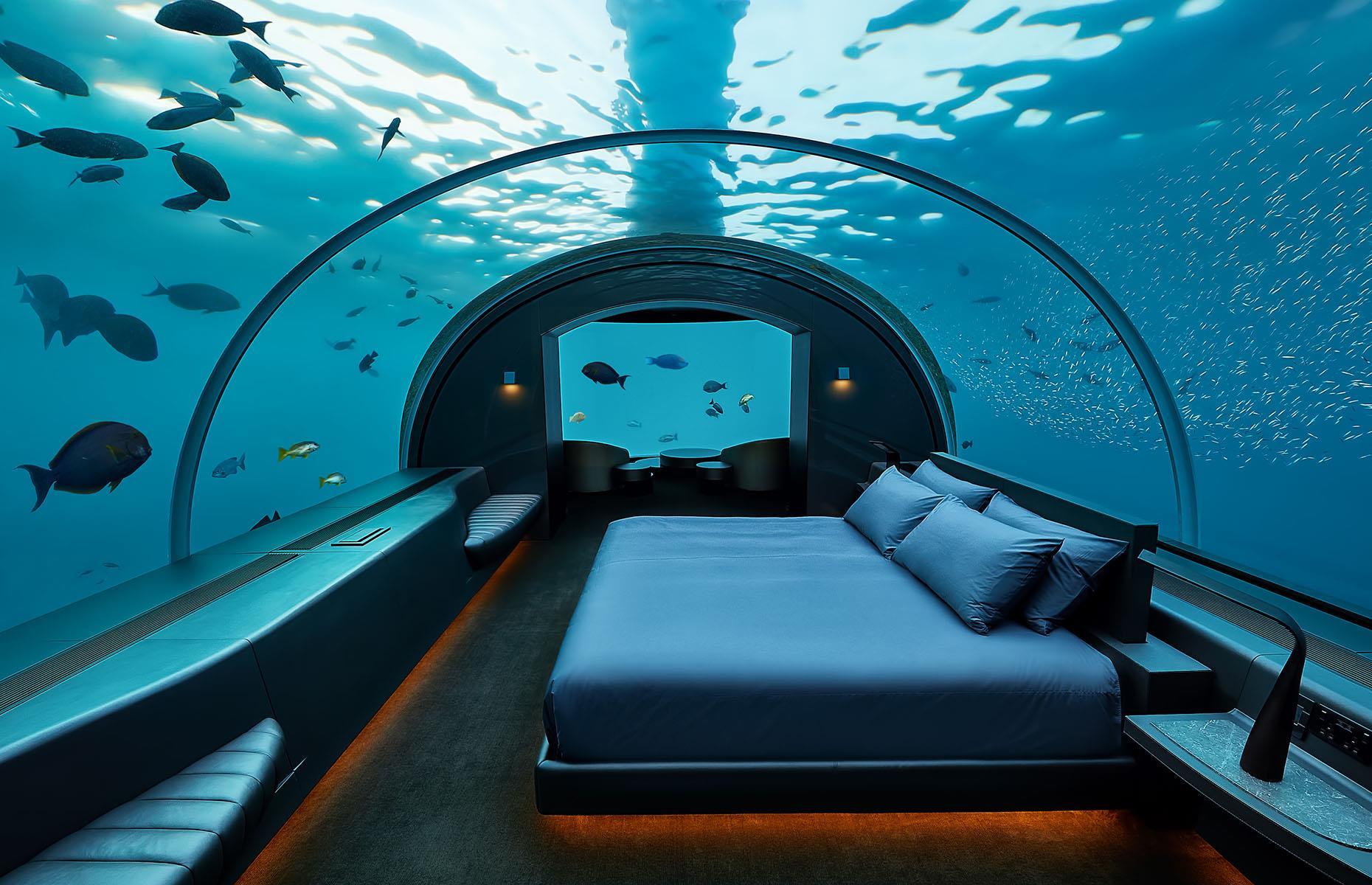 Une vision de la vie sous la mer