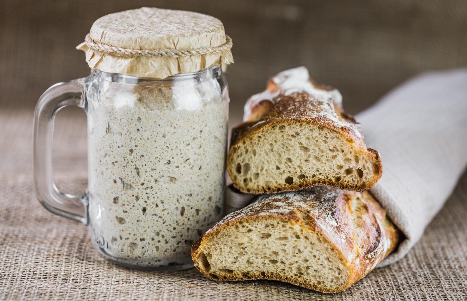 Sourdough starter recipes: up 150%