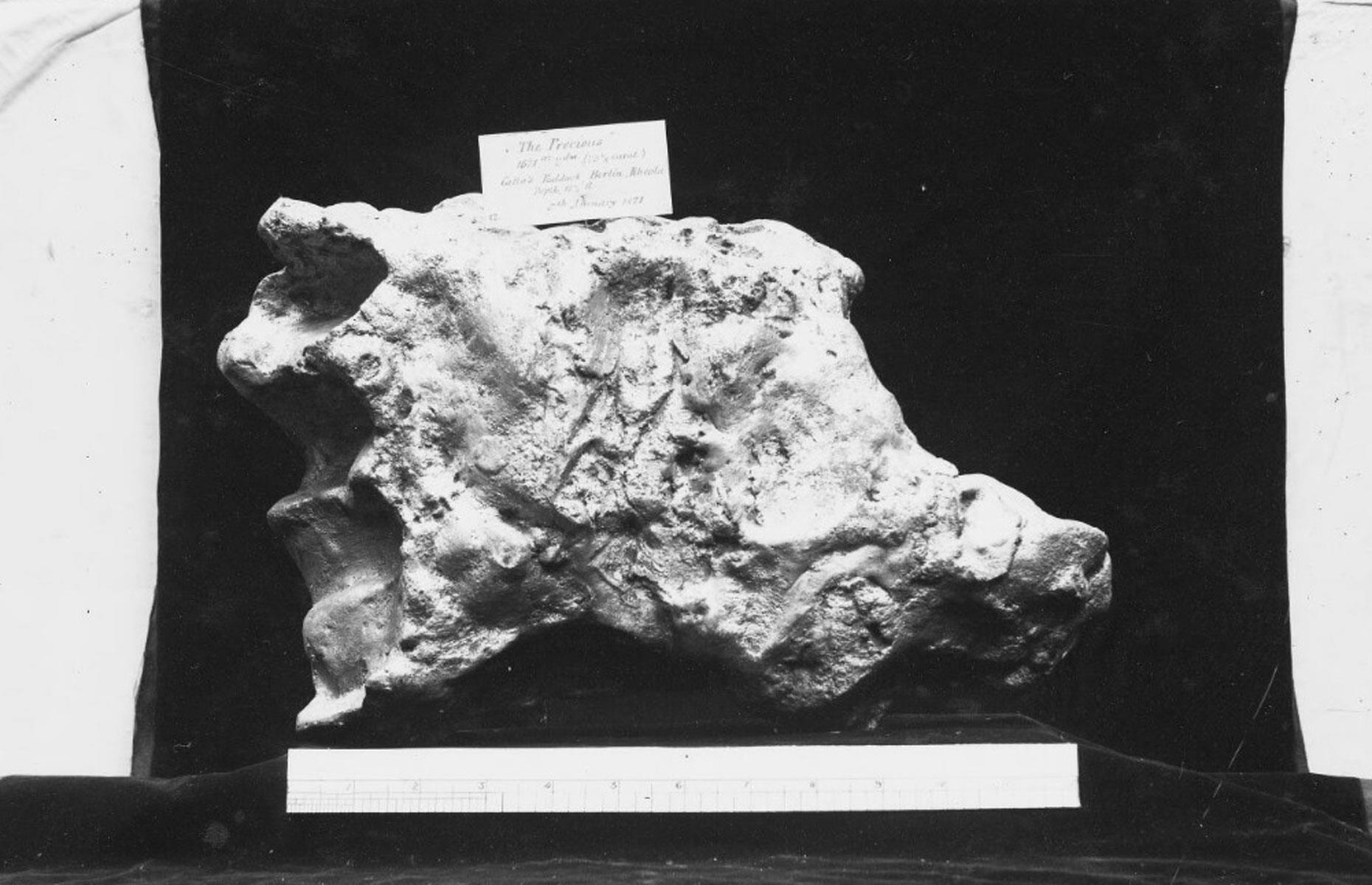 Precious Nugget: 48,7 kg (1.717 Unzen)