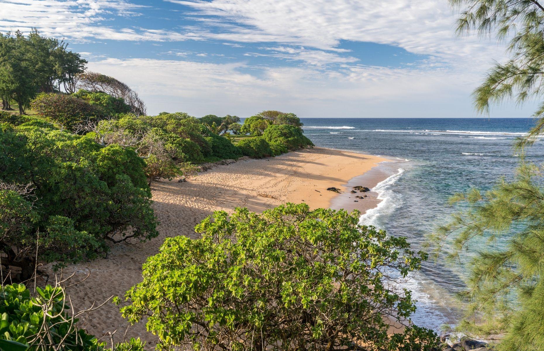 Kauai, Hawai - Mark Zuckerberg