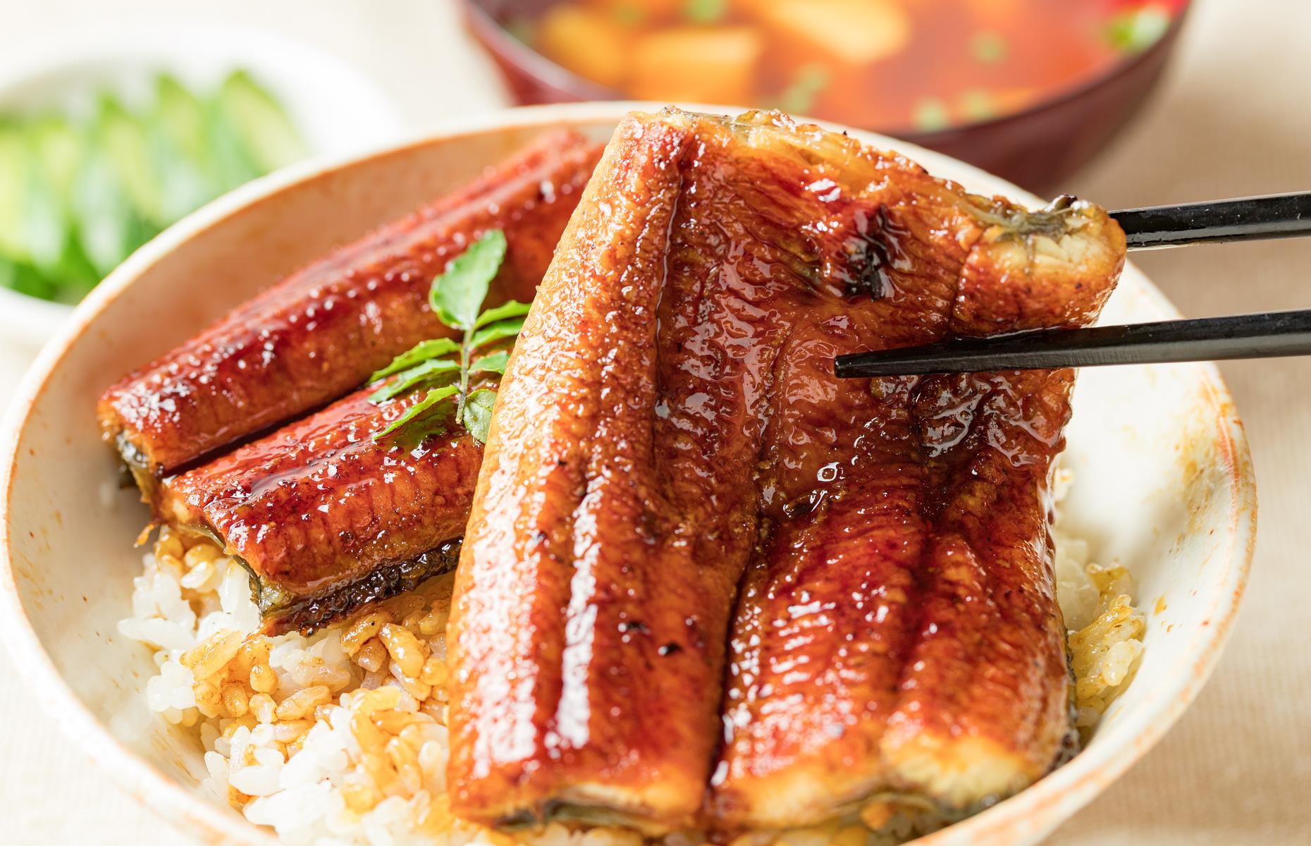 Eel